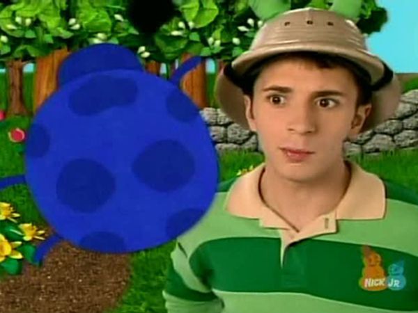 Blue S Clues The Baby S Here 2001 Synopsis