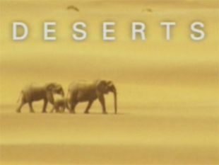 Wild Africa : Deserts