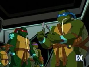 Teenage Mutant Ninja Turtles : Turtles in Space: The Big House
