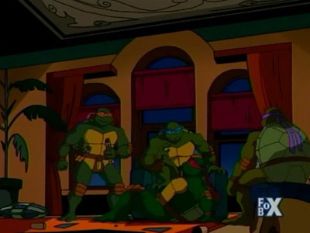 Teenage Mutant Ninja Turtles (2003) Review