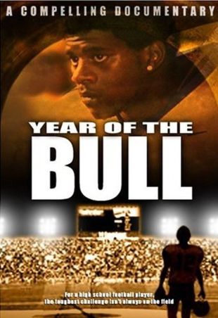 Year of the Bull