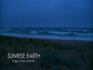 Sunrise Earth : Sea of Terns