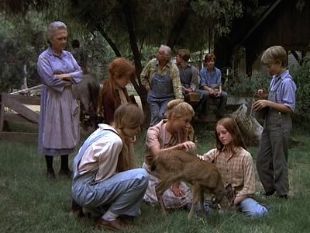 The Waltons : The Fawn