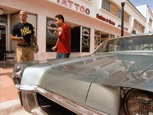 Miami Ink : More Money, More Problems