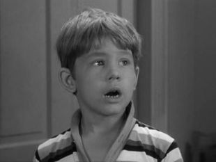 The Andy Griffith Show : The Pickle Story