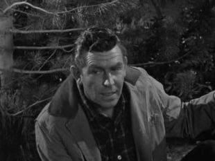 The Andy Griffith Show : Back to Nature