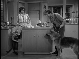 The Dick Van Dyke Show : The Unwelcome Houseguest
