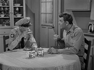 The Andy Griffith Show : The Luck of Newton Monroe