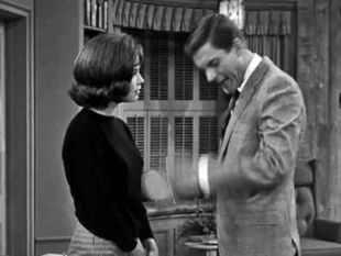 The Dick Van Dyke Show : My Husband Is the Best One