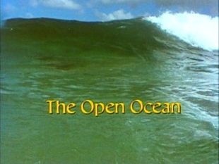 Living Planet : The Open Ocean