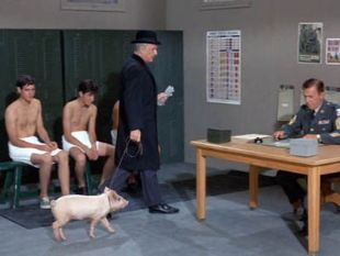 Green Acres : I Didn't Raise My Pig to Be a Soldier
