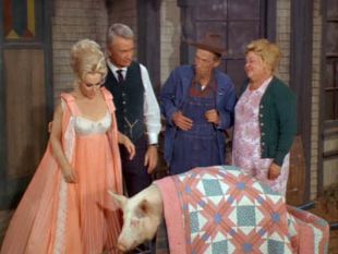Green Acres : Send a Boy to College