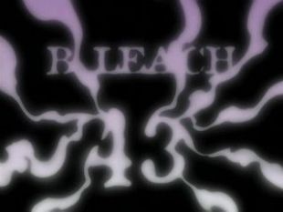 Bleach : The Despicable Shinigami
