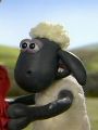 Shaun the Sheep : The Bull
