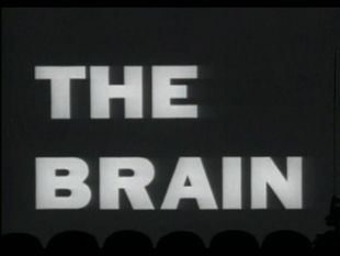 Mystery Science Theater 3000 : The Brain That Wouldn't Die