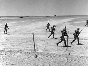 The World at War : The Desert: North Africa (1940-1943)