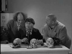 The Three Stooges : Dizzy Doctors