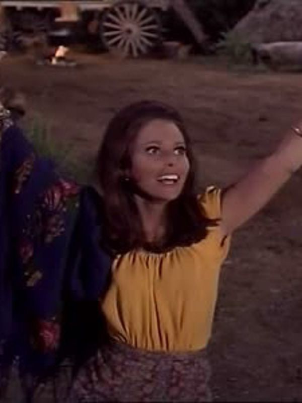 Bonanza A Severe Case of Matrimony (1968) Lewis Allen Synopsis, Characteristics, Moods