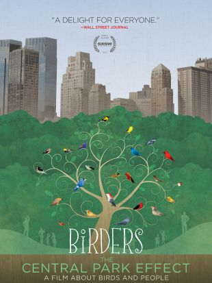 Birders: The Central Park Effect