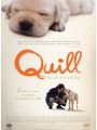 Quill: The Life of a Guide Dog