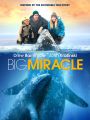 Big Miracle