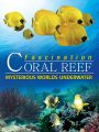 Fascination Coral Reef: Mysterious Worlds Underwater