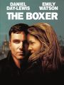 The Boxer