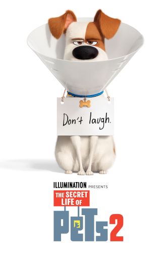 The Secret Life Of Pets 2 2019 Chris Renaud Jonathan Delval