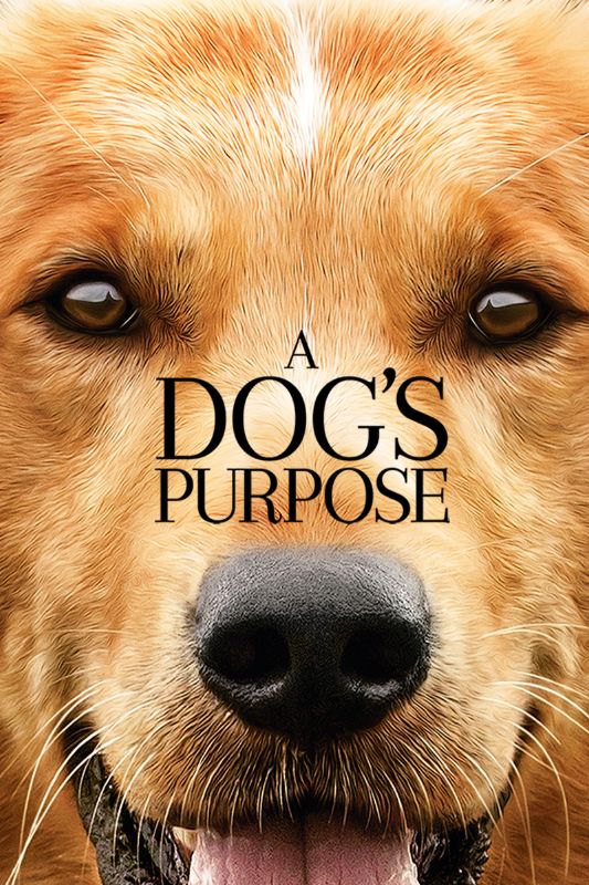 A Dog S Purpose 2017 Lasse Hallstrom Cast And Crew