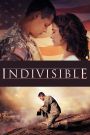 Indivisible