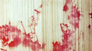 Begone Dull Care 1949 Norman Mclaren Synopsis