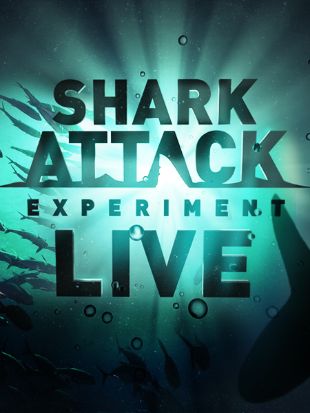 Shark Attack Experiment