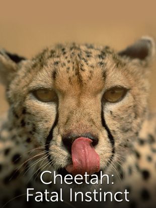 Cheetah: Fatal Instinct