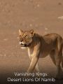 Vanishing Kings: Desert Lions Of Namib