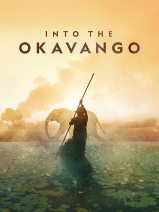 Into the Okavango