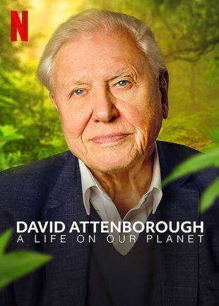 David Attenborough: A Life On Our Planet Synopsis Characteristics