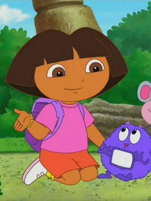 Dora the Explorer : Baby Winky Comes Home