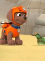 Paw Patrol : Pups and the Pirate Treasure