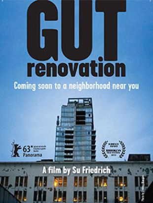 Gut Renovation