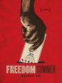 American Experience : Freedom Summer
