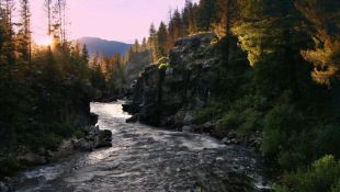 Nature : River of No Return