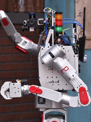 NOVA : Rise of the Robots