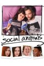 Social Animals