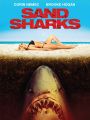 Sand Sharks