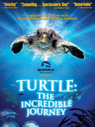 Turtle: The Incredible Journey