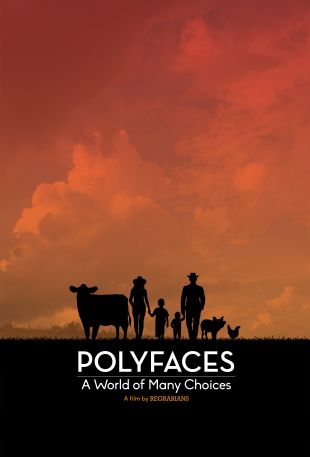 Polyfaces