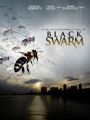 Black Swarm
