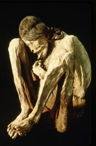 Desert Mummies of Peru