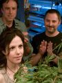 Weeds : MILF Money