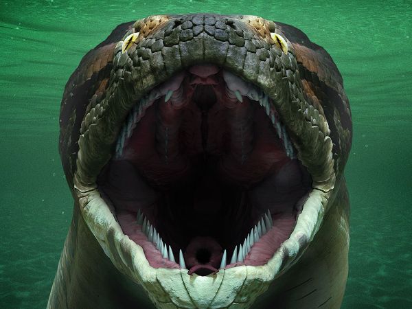 Titanoboa: Monster Snake (2012) - Martin Kemp | Synopsis